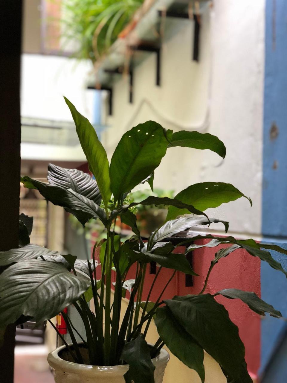 Ventana House Apartment Hai Phong Exterior photo
