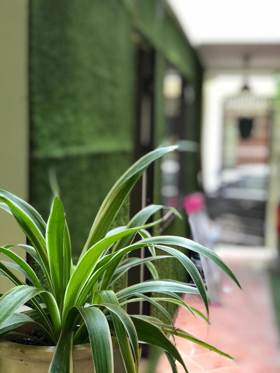 Ventana House Apartment Hai Phong Exterior photo